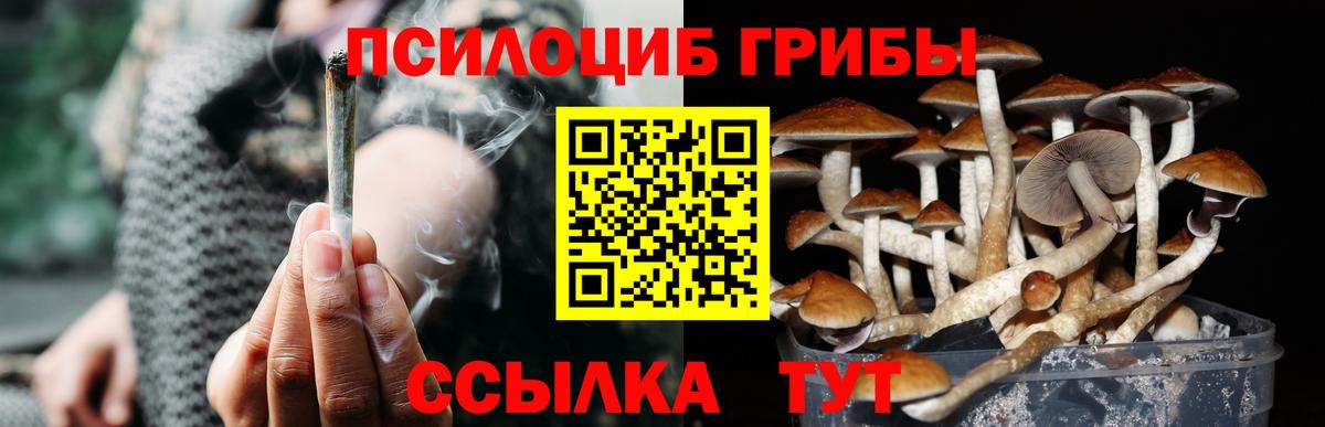 Псилоцибиновые грибы Magic Shrooms Юрга