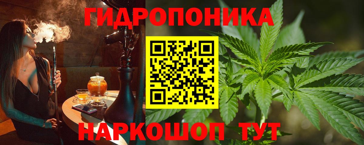 Каннабис семена Юрга